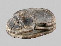 Aeg S 19  Aeg S 19, Skarabäus, Braune Fayence, L 10,5 cm, B 7,7 cm, H 4,8 cm : Bestandskatalog Ägypten, Museumsfoto: Claus Cordes